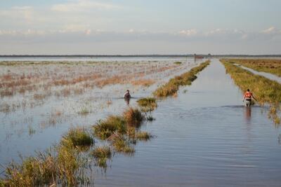 El sector de la producción espera que se haga el inventario de aguas, para que se pueda dar un uso racional a los recursos, acorde con los datos que proporcione dicho estudio. En la foto una zona de producción arroz, durante una inundación.