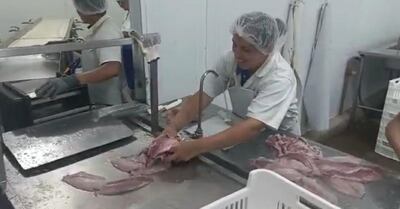 Los piscicultores agobiados por el contrabando.