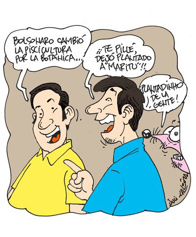 CAMBIO