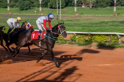 Dom Pablo de la caballeriza J.C. correrá la final del Gran Derby Asunción para potros de 2 años.