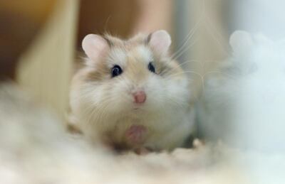 /pf/resources/images/abc-placeholder.png?d=2402