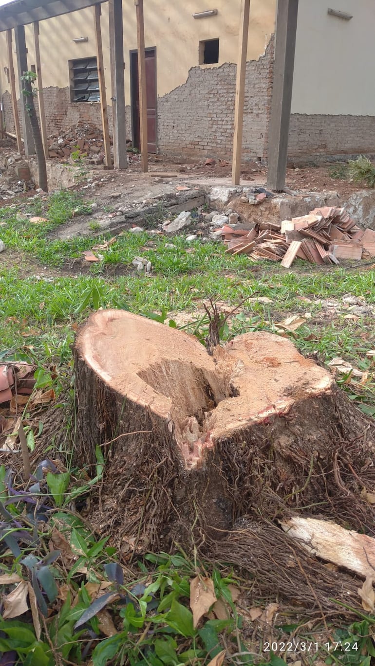 Lo que quedó de los árboles talados causó rechazo en los vecinos.