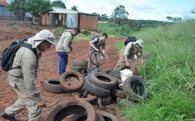 El mayor número de notificaciones se da en Asunción y Central. Instan a eliminar posibles criaderos de Aedes aegypti.