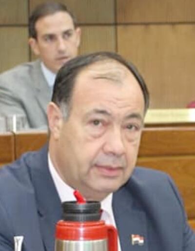 Juan Afara (ANR, Añetete) presentó ayer la versión consensuada de la nueva ley de Deforestación Cero en la Región Oriental.