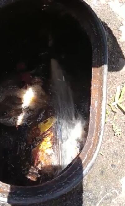 Esta pérdida de agua debe ser subsanada lo antes posible