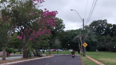 Jornada lluviosa y fresca en varios distritos de Misiones.