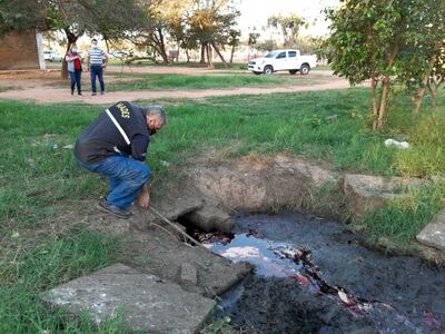 Todos los  desechos del matadero municipal se descargan a una zanja que hace de  pileta a cielo abierto.
