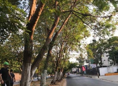 Estén o no dentro del patio, se necesita permiso municipal.