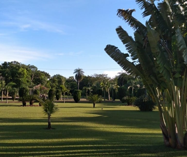 Los visitantes tienen una vista privilegiada del lugar, a toda hora, pero en especial al amanecer.