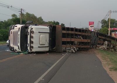 Algunas vacas quedaron atrapadas en el vehículo volcado y otras se escaparon.