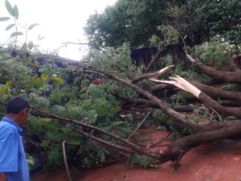 /pf/resources/images/abc-placeholder.png?d=2399