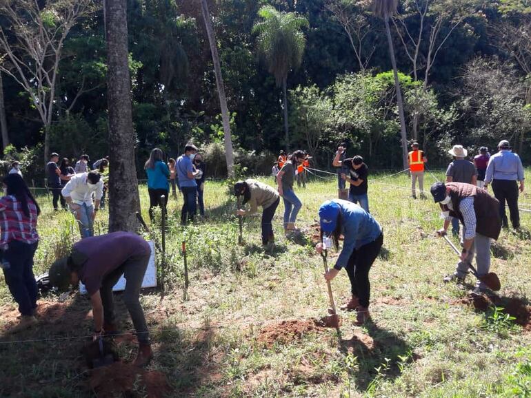 Para incursionar en el rubro de la Yerba Mate se creó un comité que integra 10 productores