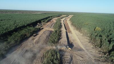 Las tareas de limpieza se llevan a cabo sin tregua. El objetivo es culminar los trabajos antes del período de lluvias, cuyo inicio se tiene a mediados de diciembre.