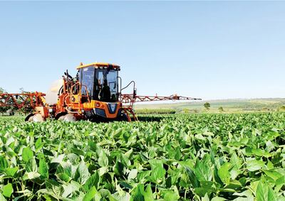 Esperan las lluvias en este mes de abril para poder concretar una excelente cosecha de soja. Meses atrás hubo fuerte sequía pero aún así ahora hay proyección de buen rendimiento.