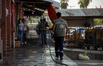 Trabajos de desinfección en el Mercado de Abasto.