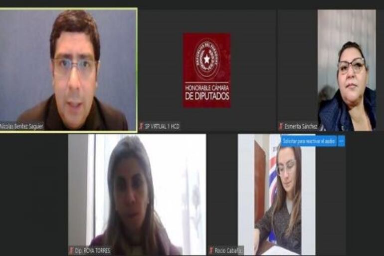 La Comisión de Derechos Humanos, que preside la diputada Roya Torres (PLRA) postergó el análisis del proyecto que devolvería a la Diben parte de sus recursos genuinos.