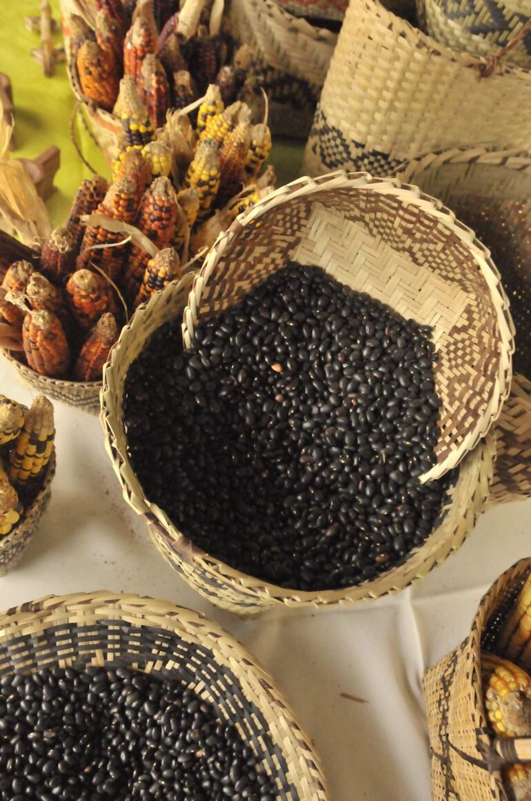 Exhibición de semillas nativas y criollas constituye una verdadera fiesta del campesinado y las comunidades indígenas, que son los que conservan y reproducen las semillas a través de sus prácticas agroecológicas y ancestrales.