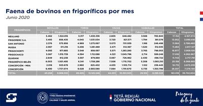 Informe del Senacsa, del faenamiento de bovinos por planta frigorífica durante el mes de junio.