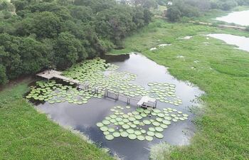 Para algunas organizaciones, resolver un tema sobre medio ambiente está para ellos por encima de la misma Constitución y de las leyes.