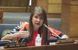 La diputada Celeste Amarilla (PLRA) ayer durante una charla en la sala de la Cámara Baja.