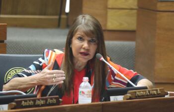 La diputada Celeste Amarilla (PLRA) ayer durante una charla en la sala de la Cámara Baja.