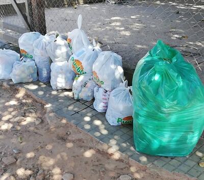 Basura sin recoger hace una semana en el barrio Santísima Trinidad, según denuncia de vecinos. Mientras un servicio básico como la recolección de basura es deficiente, el intendente pretende gastar G. 9.000 millones en comunicación y publicidad.