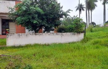 El local de Copaco en Carapeguá se encuentra abandonado y saturado de malezas.