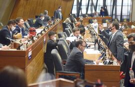 En Cámara de diputados sostuvieron que IPS debe mejorar la calidad de atención para incluir a nuevos asegurados en su nómina.