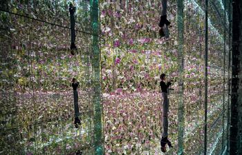El colectivo de arte interactivo teamLab inaugurará el próximo 25 de enero una exposición en Sao Paulo (Brasil), su primera muestra en Latinoamérica, que estará centrada en su recurrente representación del ciclo vital de las flores.