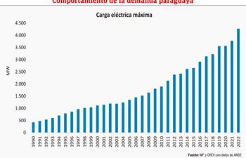 COMPORTAMIENTO DE LA DEMANDA PARAGUAYA
