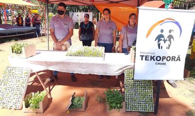 Plantines diversos fueron exhibidos en la primera Expo Feria de la Producción, Empresarial y Servicios “Cacique Choré”.