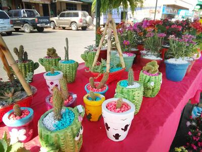 Durante la feria que se extiende hasta el domingo se puede apreciar una gran variedad de tunas y suculentas.