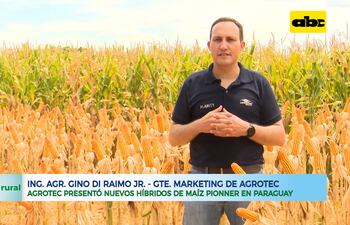 ABC RURAL: Presentaron portafolio renovado en híbridos de maíz Pionner