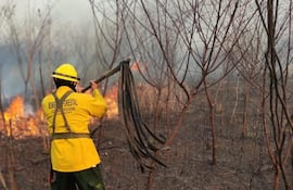 Bomberos Voluntarios de Concepción realizan los trabajos para sofocar los incendios.