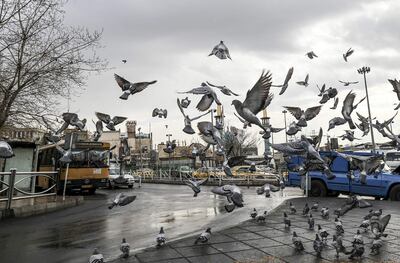 Una bandada de palomas levanta vuelo en una calle de Teherán, en Irán.