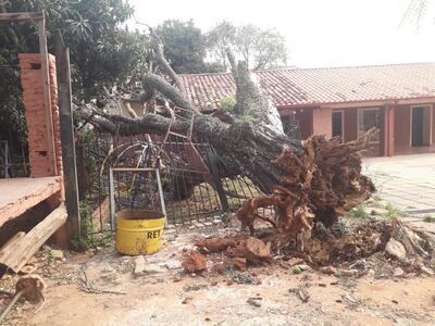 Cerca perimetral de la escuela