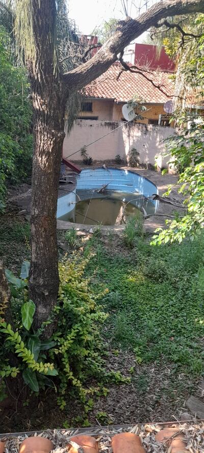 Casa en estado de abandono en Herminio Maldonado esq. Tte Oviedo, Barrio Ykua Satî, Asuncion, se constituye en un peligro para todo el vecindario pues extraños diariamente utilizan la misma como estacionamiento privado o lugar de descanso.
La piscina está abandonada con e