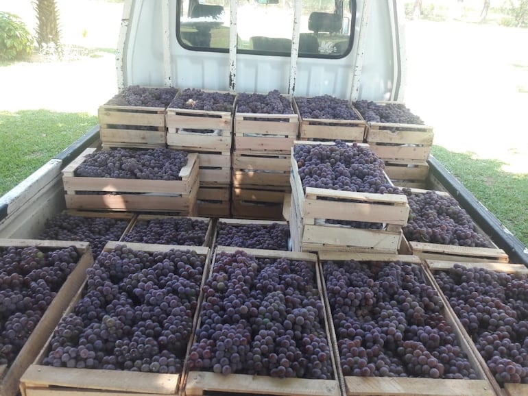 /pf/resources/images/abc-placeholder.png?d=2394