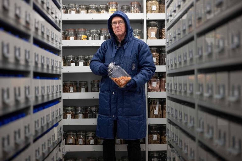 Dentro de bóvedas congeladas a prueba de bombas debajo de la campiña inglesa se esconde un tesoro de 40.000 especies de plantas silvestres. 