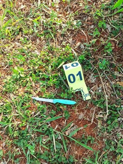 El arma blanca que fue arrojada por Dalvir Lauermann luego de cometer el hecho.