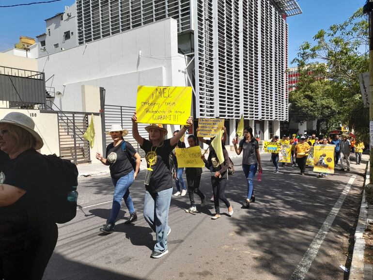 El MEC es el principal repudiado por eliminar el profesora de guaraní del Ateneo.