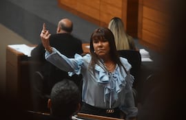 La diputada Celeste Amarilla exhibe el dedo del medio a la bancada de Honor Colorado.