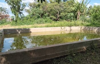 Un enorme caldo de cultivo para el criadero de mosquitos es la pileta que se encuentra en la Plaza de las Aguas.