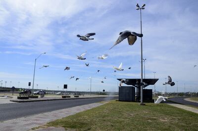 Costanera de Asunción. Hasta ayer, la jornada era cálida y sin mucho frío. Esto cambiaría para hoy y los próximos días.