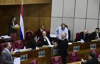 La Cámara de Senadores deja pendiente de tratamiento importantes y polémicos proyectos de ley que serán tratados al reinicio de las actividades legislativas, a partir del 1 de marzo.