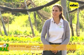 Extracto de neem para control de plagas y enfermedades