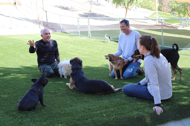 César Millán (i) habla con Craig y Shannon junto a sus perros en el Centro Psicológico del Perro en Santa Clarita, California.