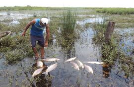 Mueren peces del arroyo Mbutuy en 25 de Diciembre.