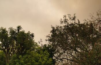 La Dirección de Meteorología renovó su alerta por vientos del sector norte y redujo su afectación a la región Occidental. Además, anticipó lluvias dispersas para mañana viernes.