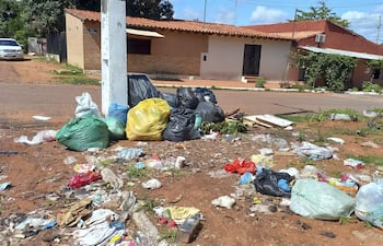 La calle Romón Medina cuenta aún con una gran cantidad de basura. La foto corresponde a tan solo dos cuadras de la municipalidad.
